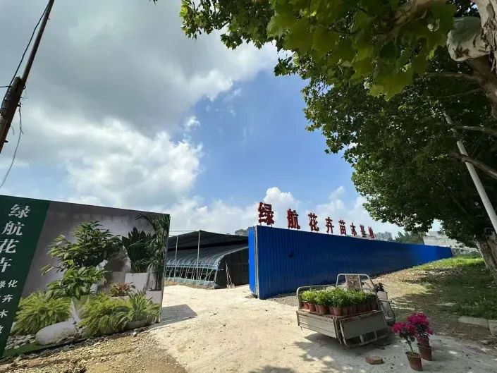 博思花艺婚庆教育，婚庆培训，花艺培训，插花培训，花艺师培训，主持人培训，商务主持人培训，花店运营培训，花店全系统营销，小白开花店，小白学主持，金玺棠婚庆酒店，金玺棠总部，郑州金麻雀教育科技有限公司