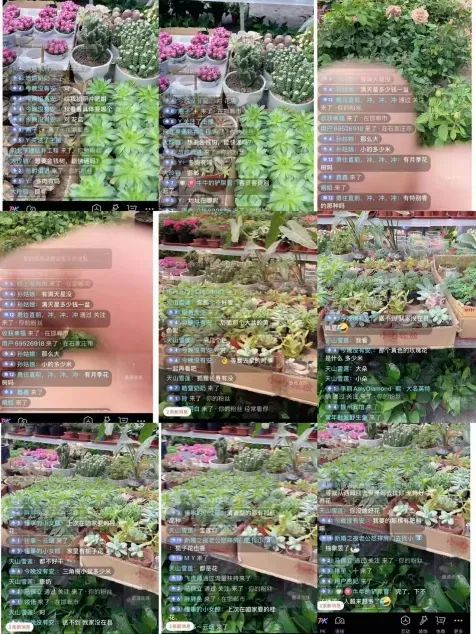 博思花艺婚庆教育，婚庆培训，花艺培训，插花培训，花艺师培训，主持人培训，商务主持人培训，花店运营培训，花店全系统营销，小白开花店，小白学主持，金玺棠婚庆酒店，金玺棠总部，郑州金麻雀教育科技有限公司