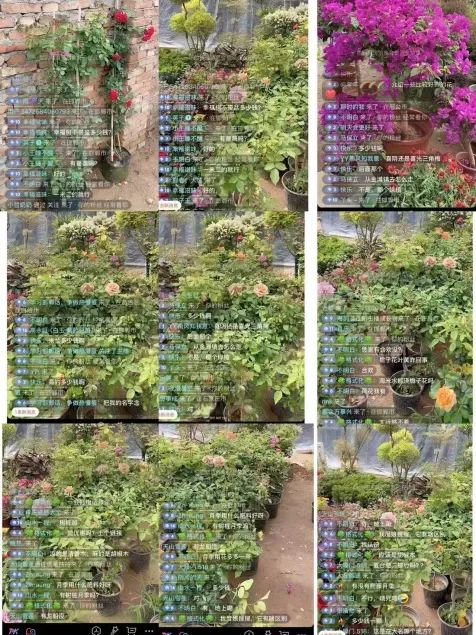 博思花艺婚庆教育，婚庆培训，花艺培训，插花培训，花艺师培训，主持人培训，商务主持人培训，花店运营培训，花店全系统营销，小白开花店，小白学主持，金玺棠婚庆酒店，金玺棠总部，郑州金麻雀教育科技有限公司