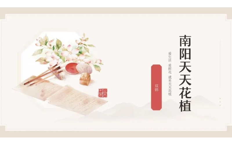 颂花匠-南阳天天花植端午节沙龙-分享人双锦